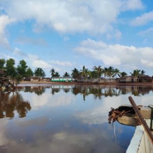 Aucune description alternative pour cette image